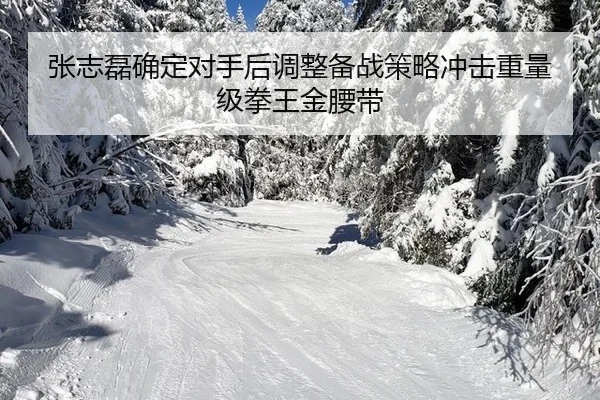 zhang-zhi-lei-que-ding-dui-shou-hou-tiao-zheng-bei-zhan-ce-lve-chong-ji-zhong-liang-ji-quan-wang-jin-yao-dai-2-360.jpg