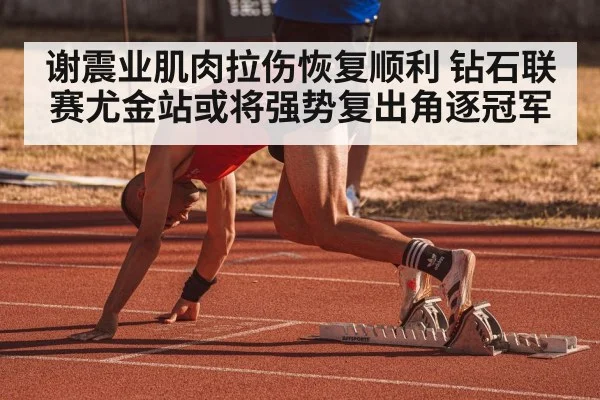 谢震业肌肉拉伤恢复顺利 钻石联赛尤金站或将强势复出角逐冠军