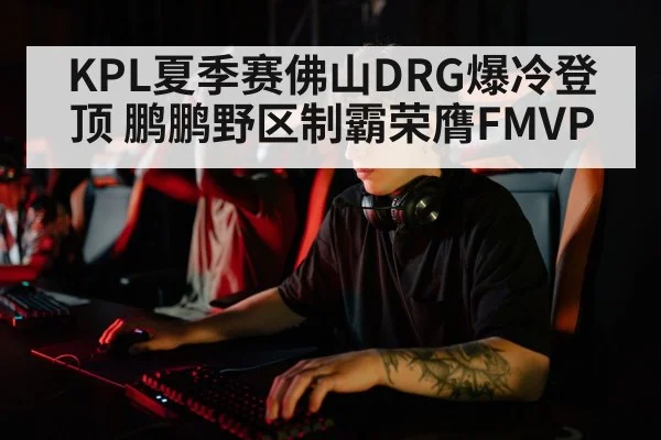 KPL夏季赛佛山DRG爆冷登顶 鹏鹏野区制霸荣膺FMVP